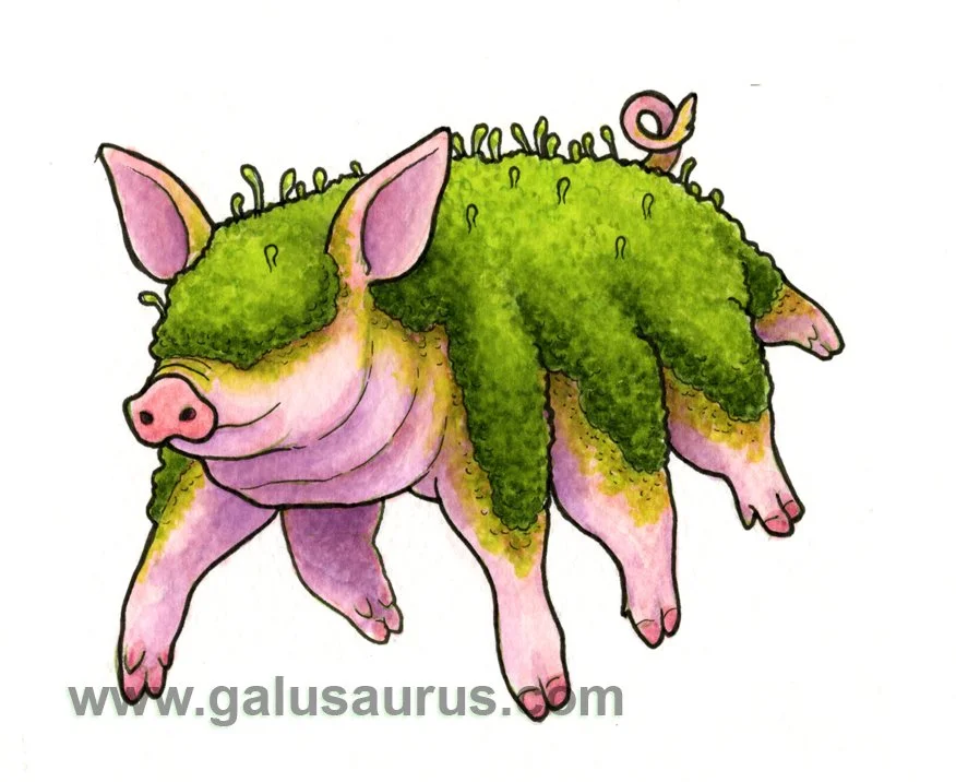 2024-27-tardigrade-b-WM-small.jpg