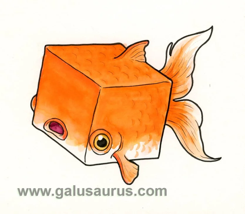2024-26-goldfish-c-WM-small.jpg