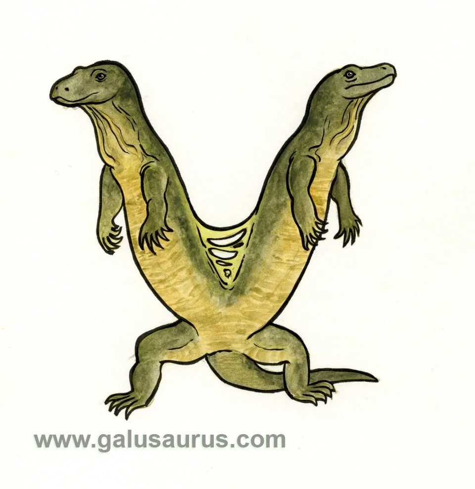 2024-22-komododragon-a-WM-small.jpg