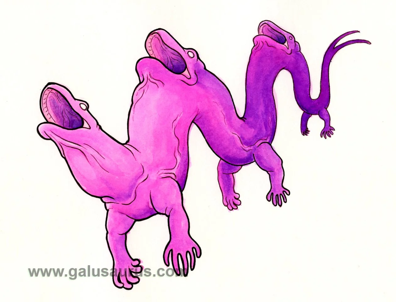 2024-22-komododragon-b-WM-small.jpg