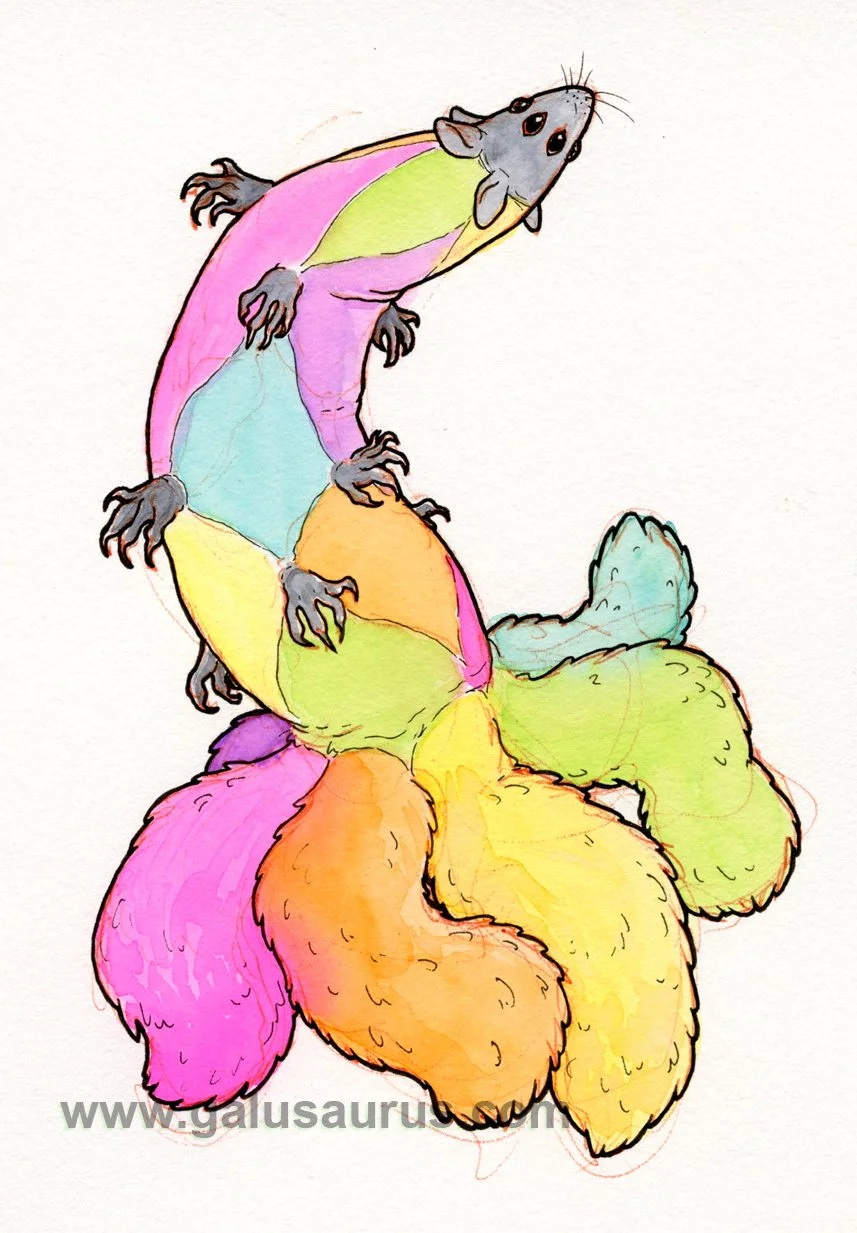 2023-13-squirrel-c-WM-small.jpg