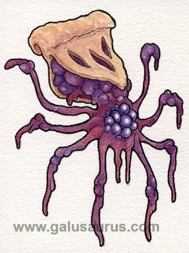 2023-14-arachnid-b-WM-small.jpg