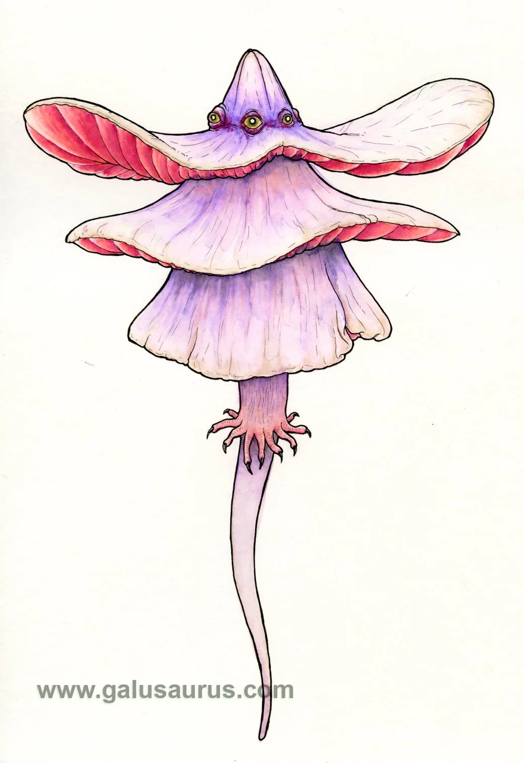 2024-02-frilledlizard-c-WM-small.jpg