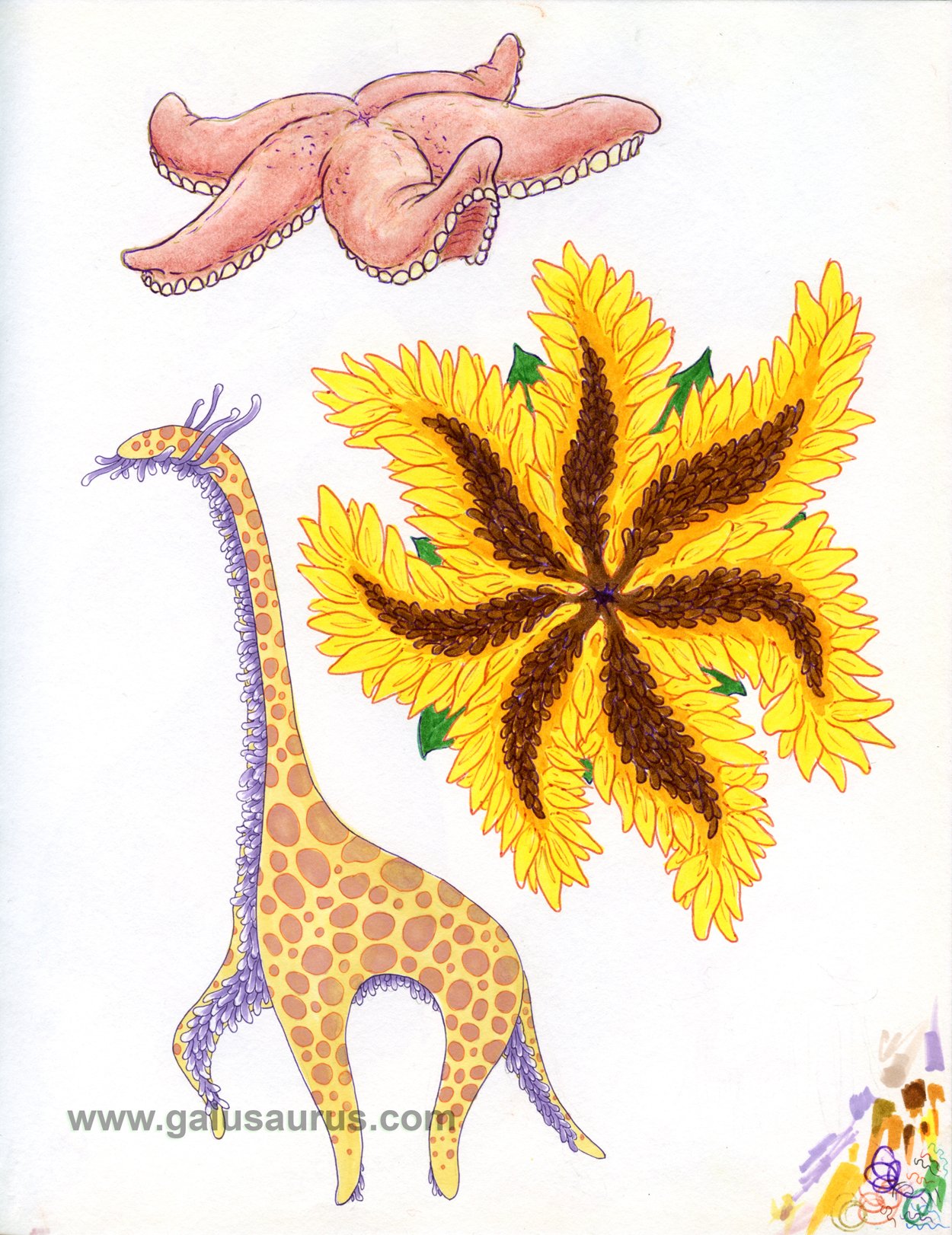202120-starfish-WM.jpg