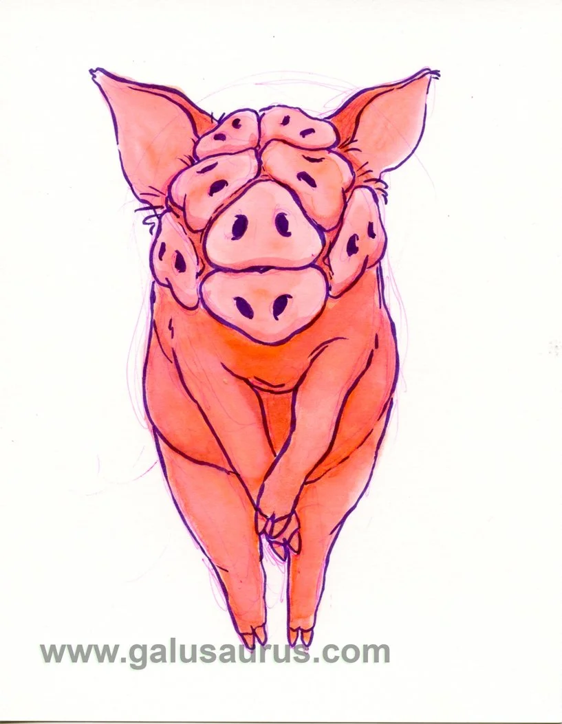 202218-pig-b-WM.jpg