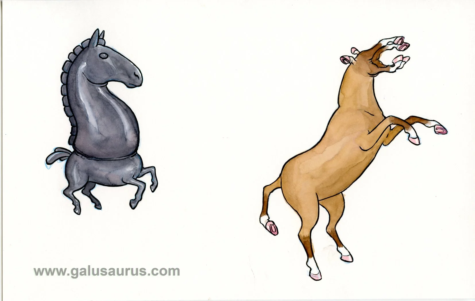 202231-horse-b-WM.jpg