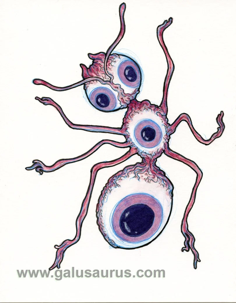 2023-08-ant-a-WM-small.jpg