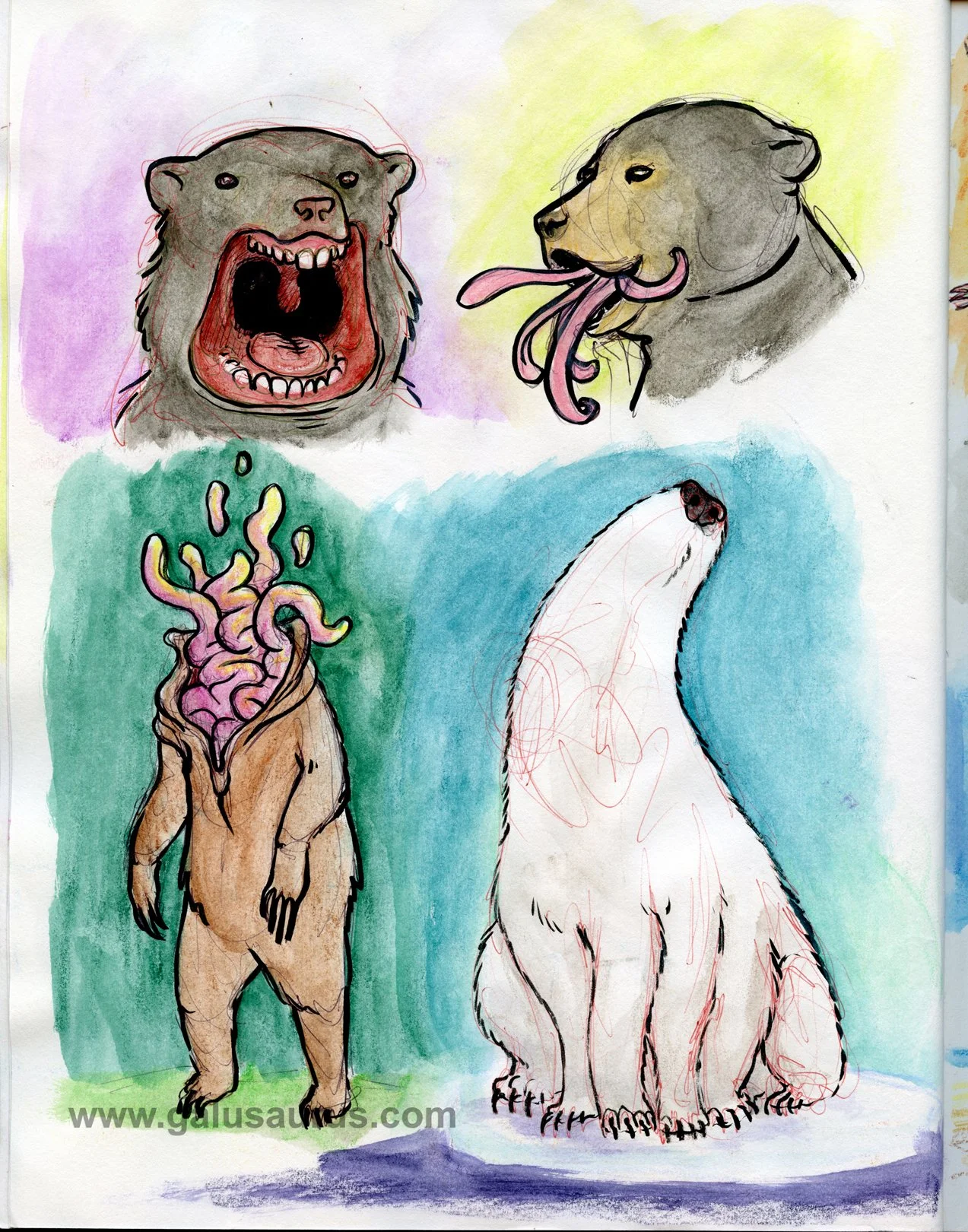 201921bear-WM.jpg