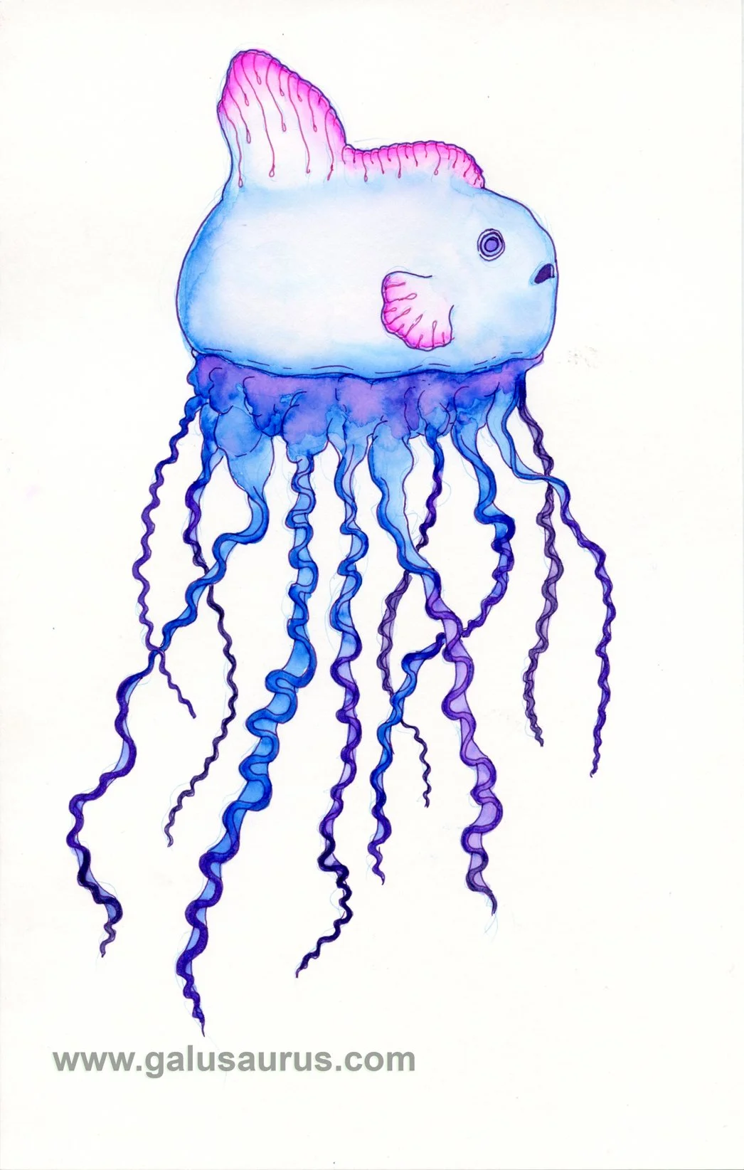 202222-molamola-a-WM.jpg