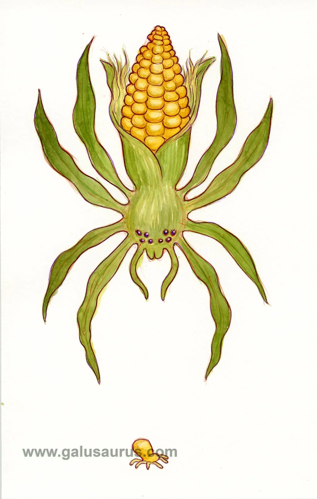 202223-arachnid-a-WM.jpg