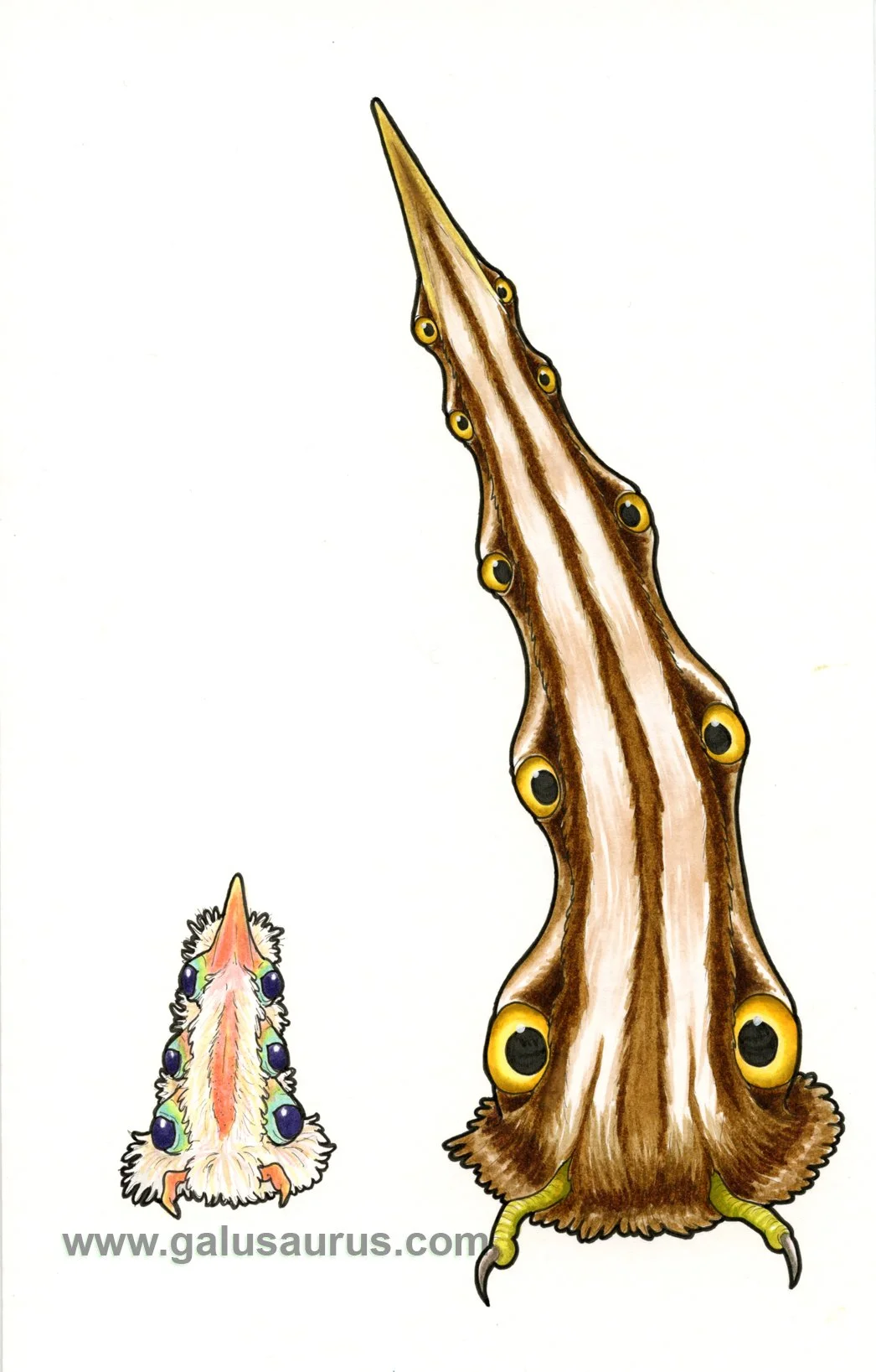 2024-07-bittern-b-WM-small.jpg