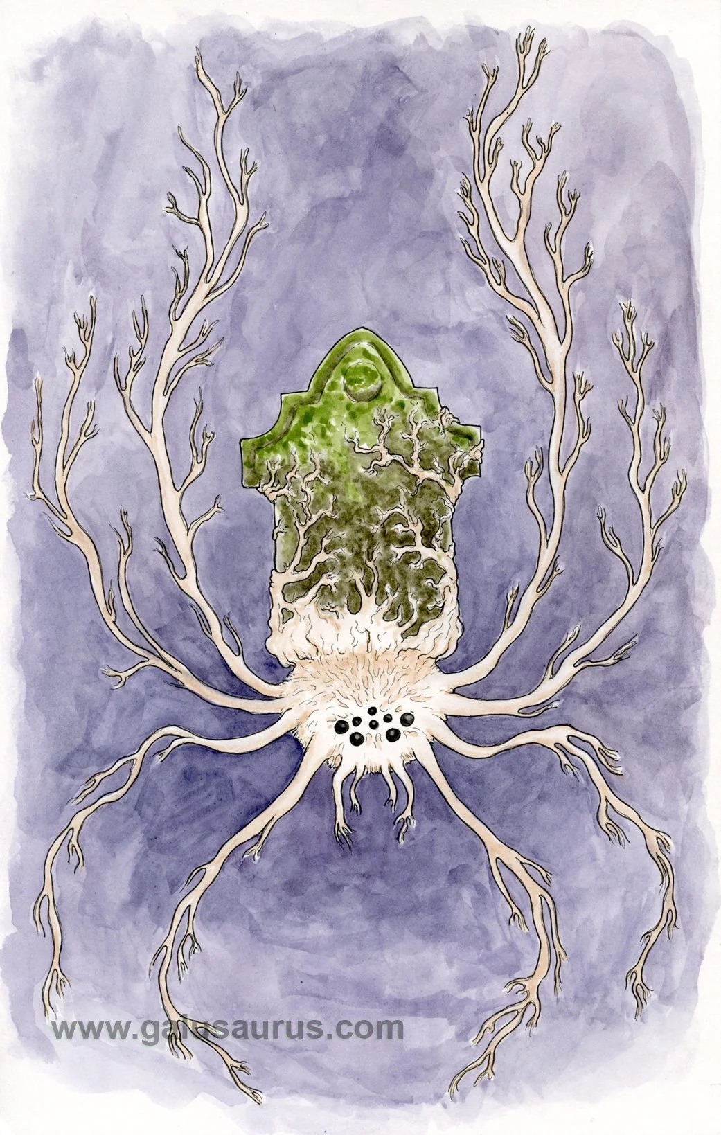 2023-14-arachnid-c-WM-small.jpg