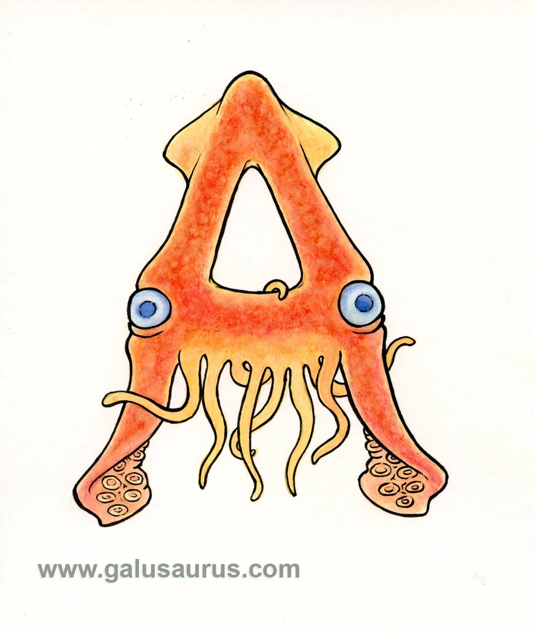 2024-01-cephalopod-a-WM-small.jpg
