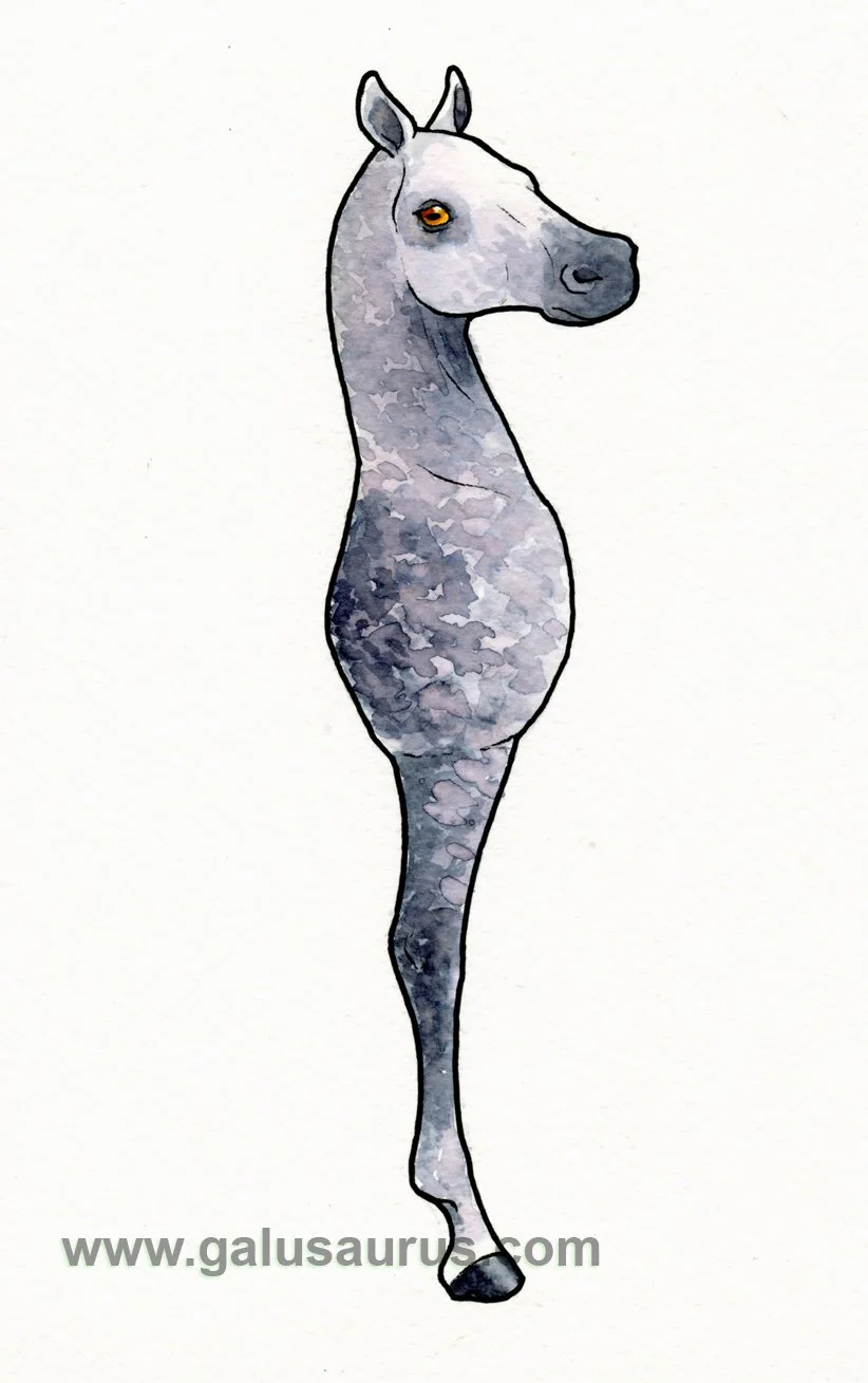 2024-31-horse-b-WM-small.jpg