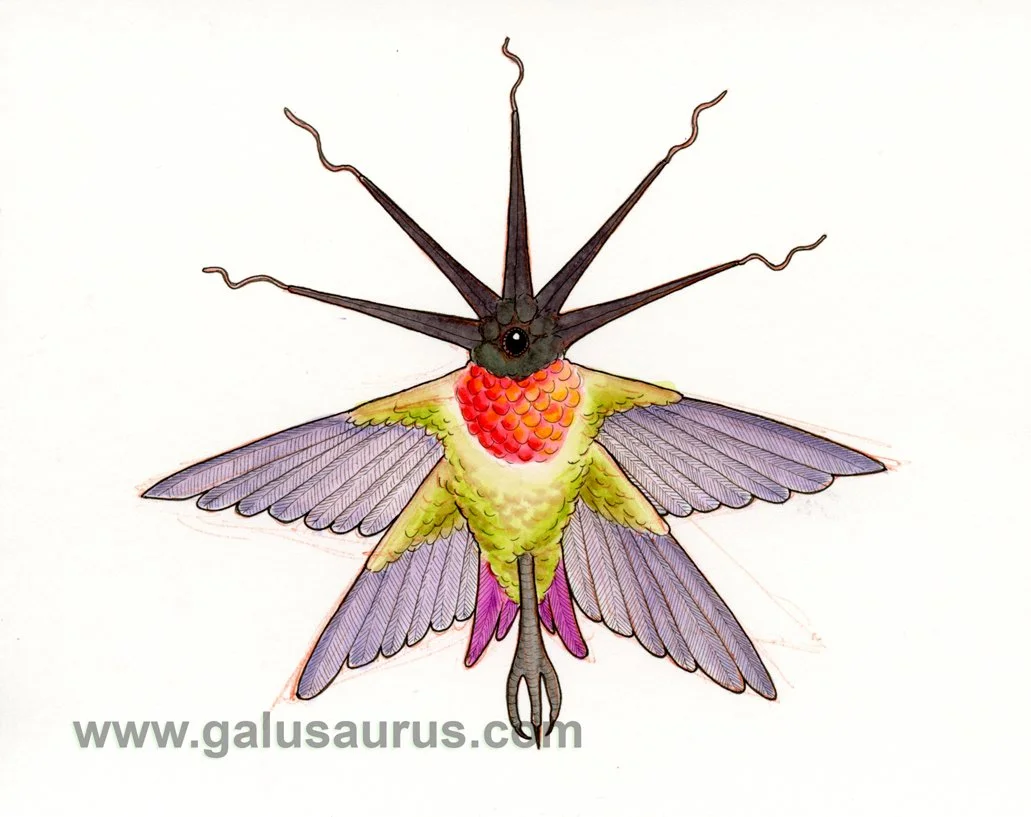 202212-hummingbird-c-WM.jpg