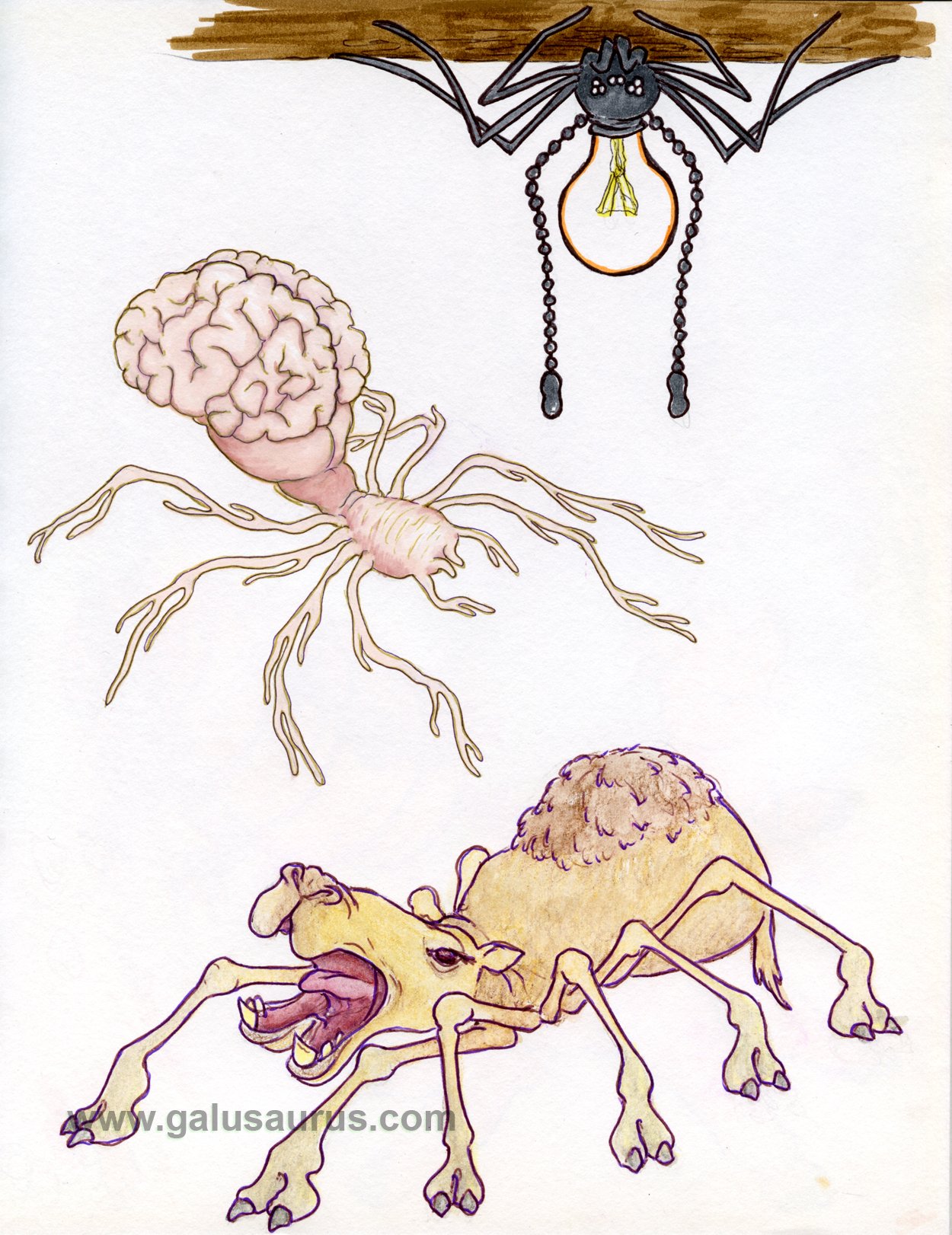 202122-arachnid-WM.jpg