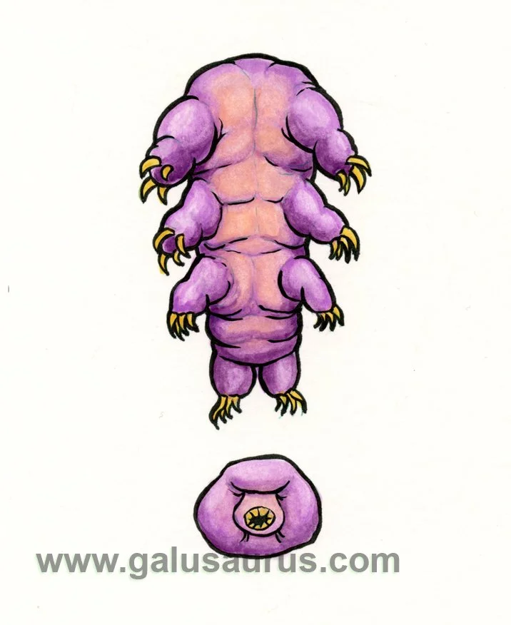 2024-27-tardigrade-a-WM-small.jpg