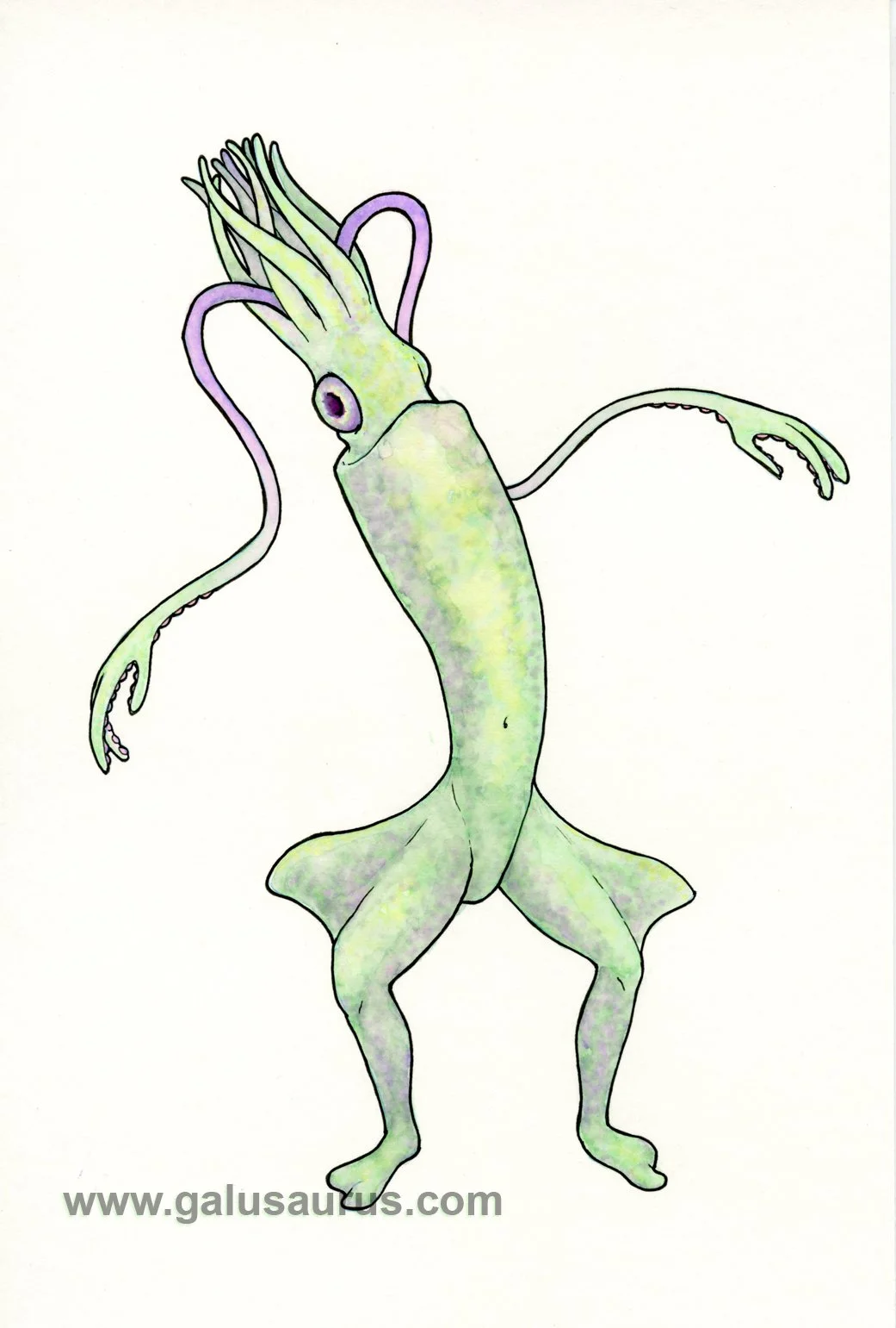 2024-01-cephalopod-b-WM-small.jpg