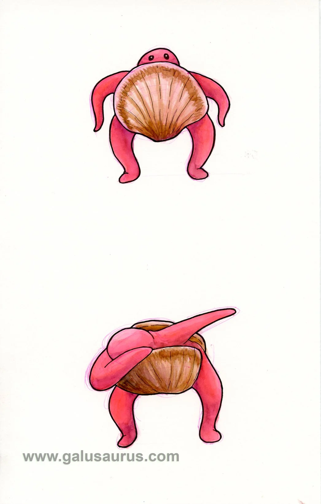 202225-bivalve-b-WM.jpg