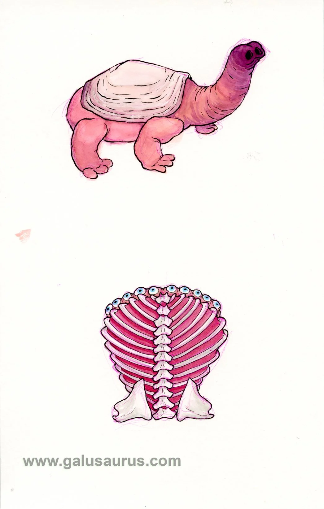 202225-bivalve-a-WM.jpg