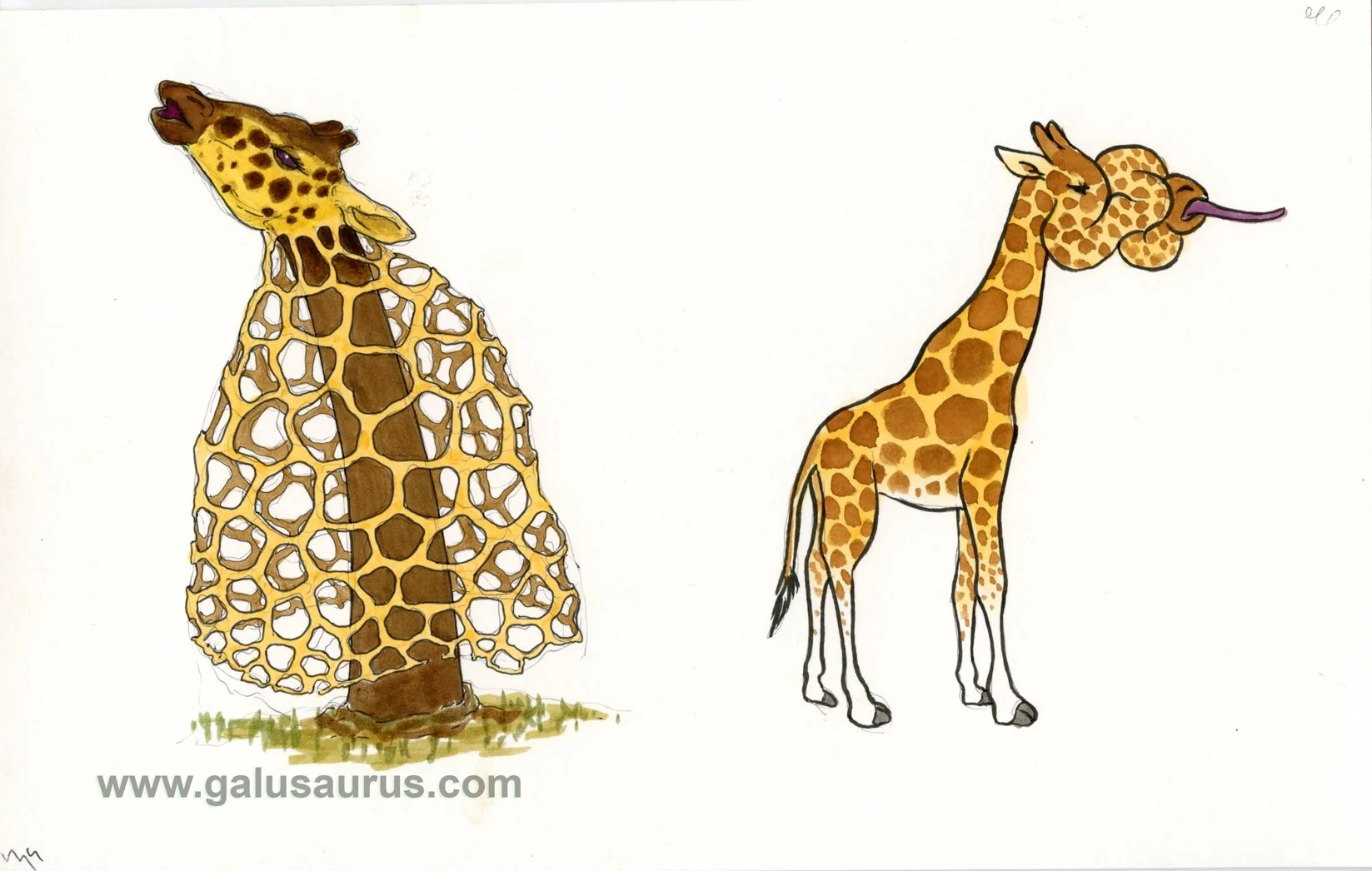 202227-giraffe-a-WM.jpg
