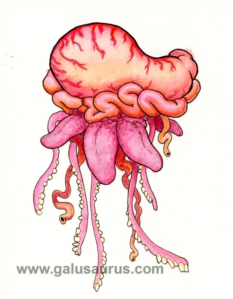 2024-16-siphonophore-b-WM-small.jpg