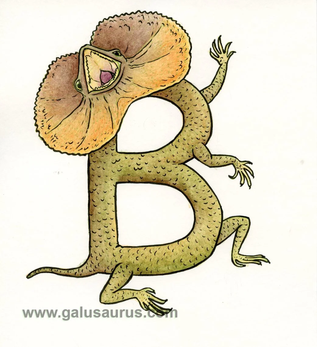 2024-02-frilledlizard-a-WM-small.jpg