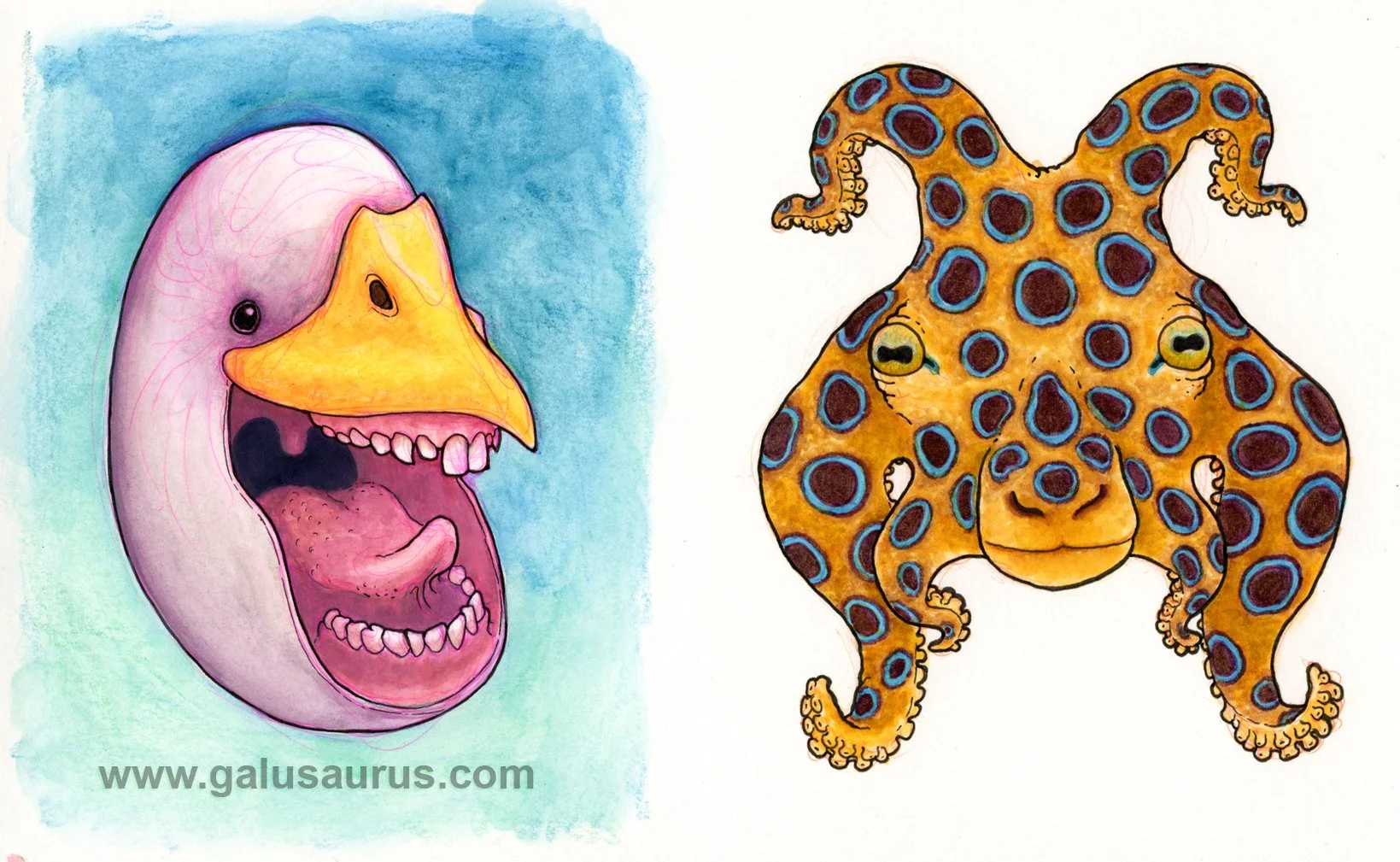 2023-01-cephalopod-a-WM-small.jpg