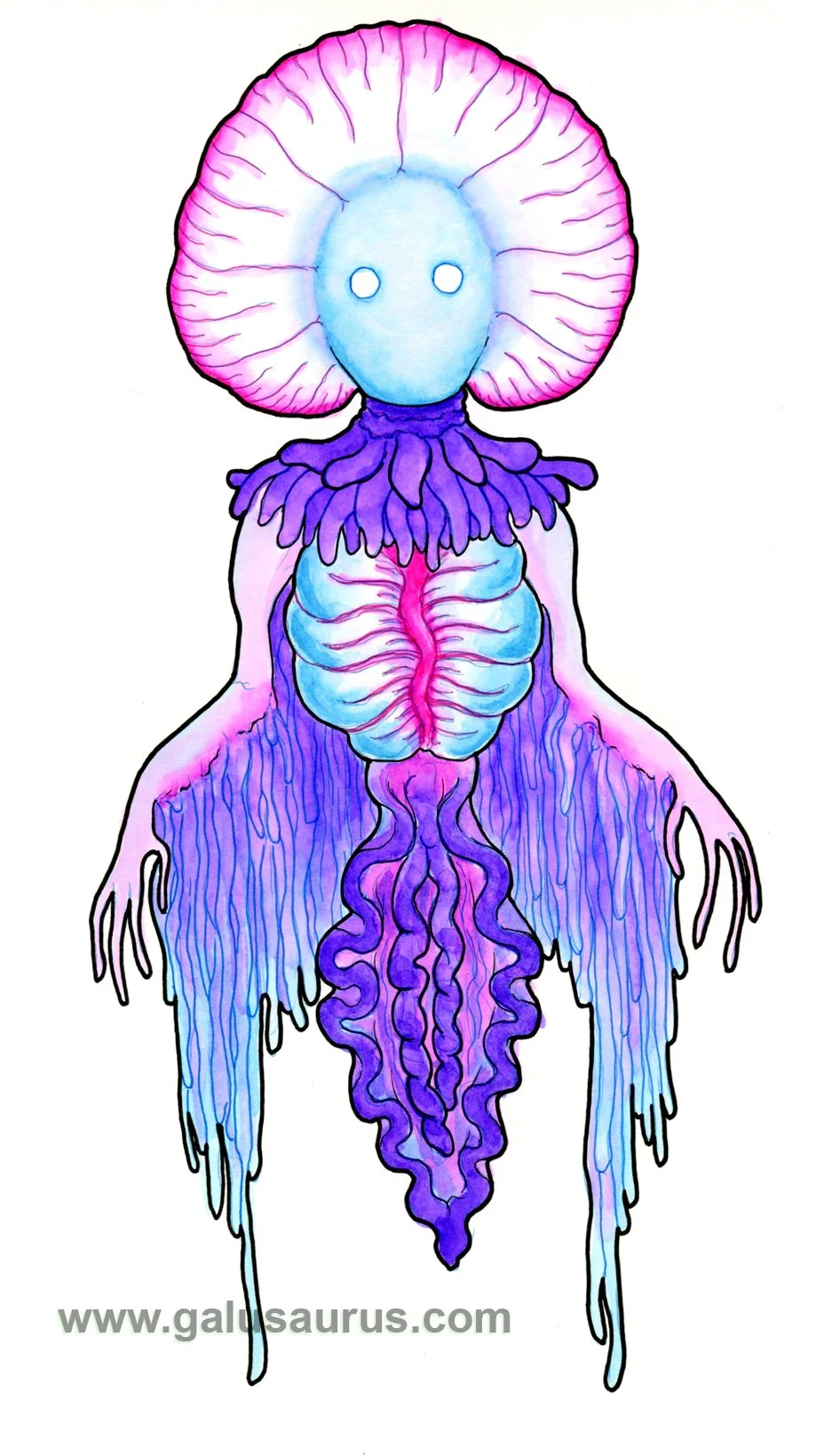 2024-16-siphonophore-c-WM-small.jpg
