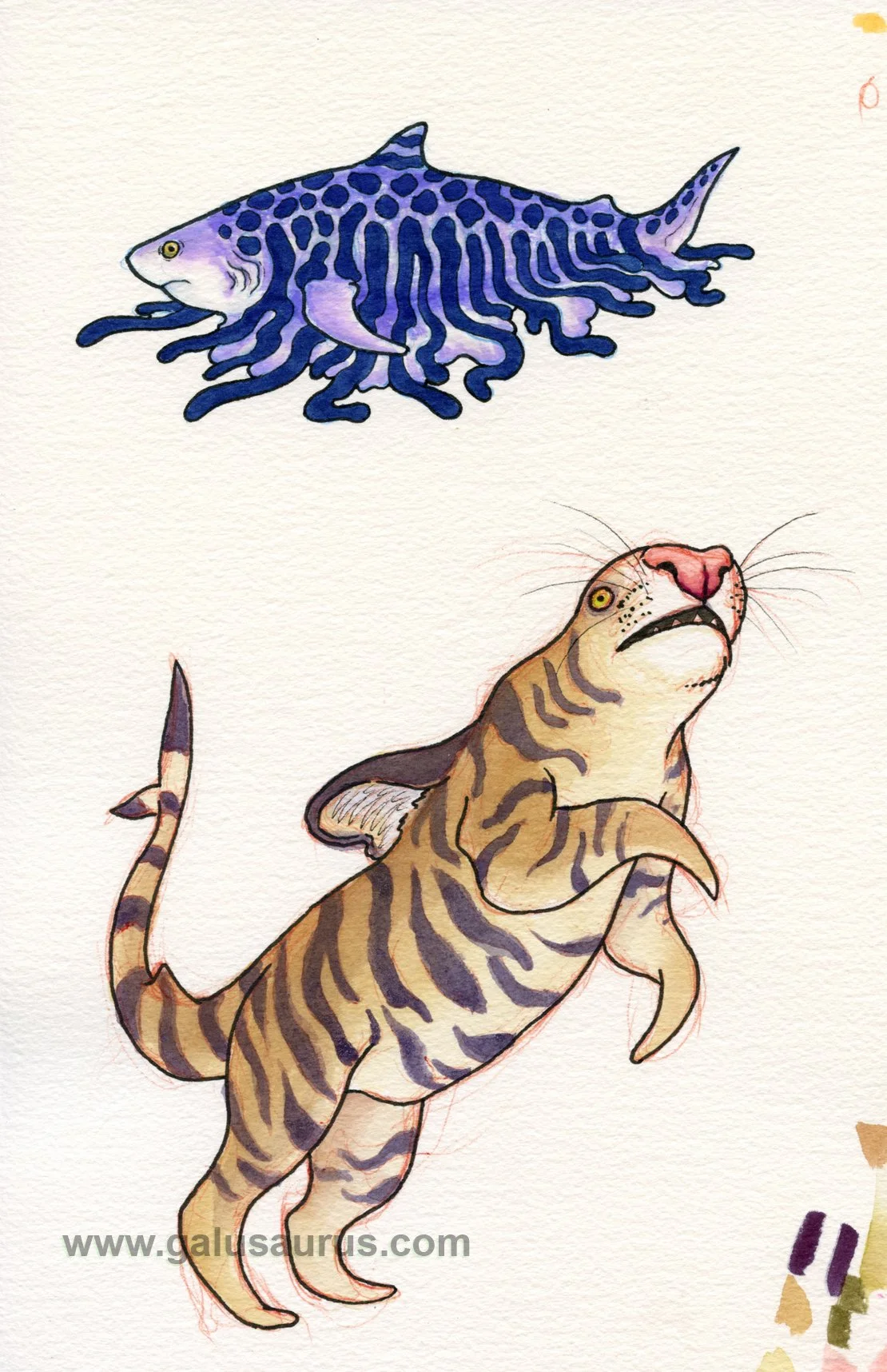 2023-15-tigershark-b-WM-small.jpg