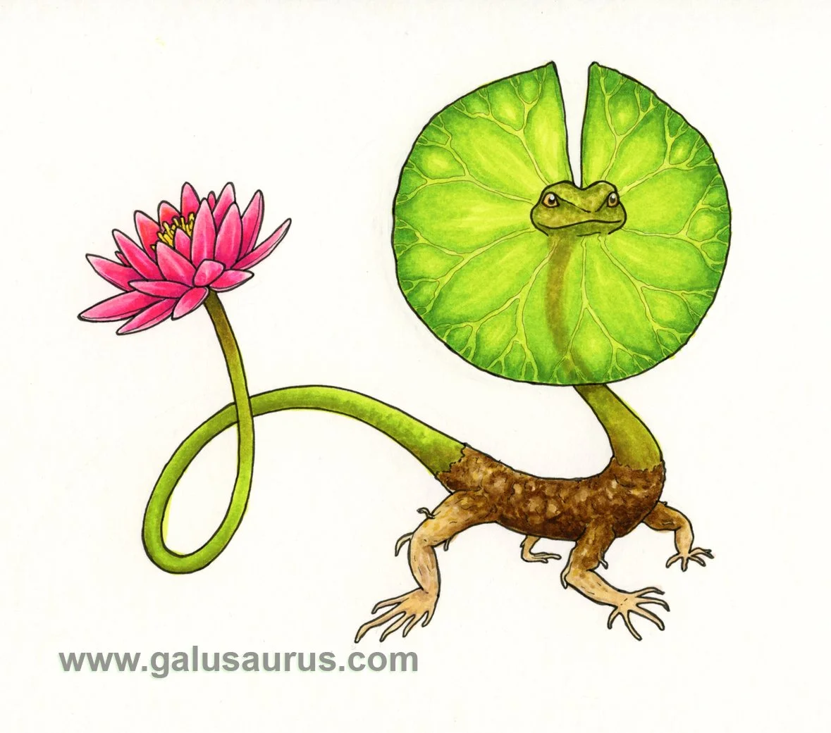 2024-02-frilledlizard-b-WM-small.jpg