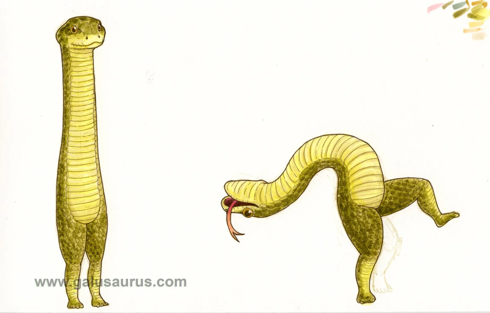 20226-snake-a-WM.jpg