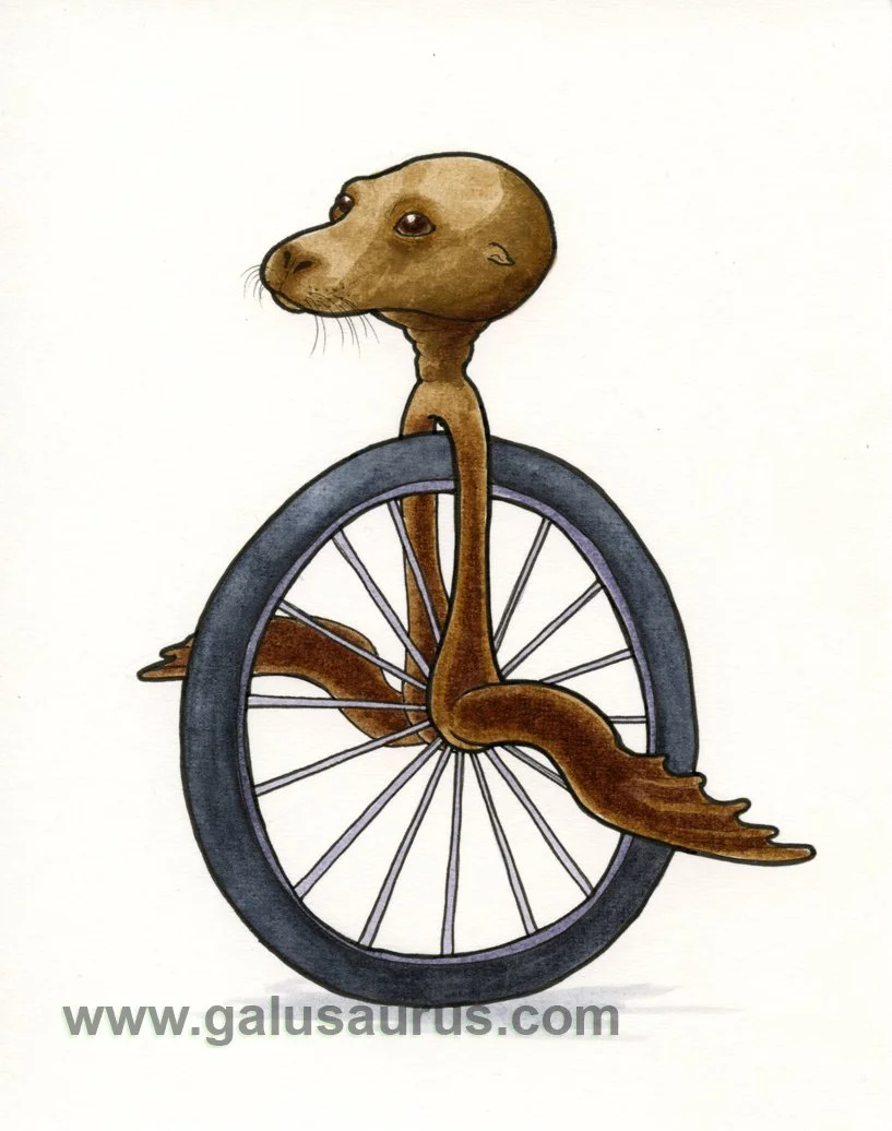 2024-20-pinniped-b-WM-small.jpg