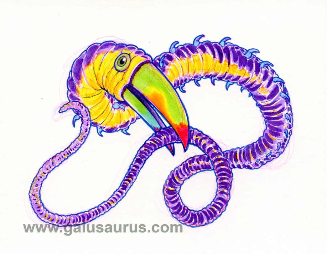 20223-toucan-c-WM.jpg