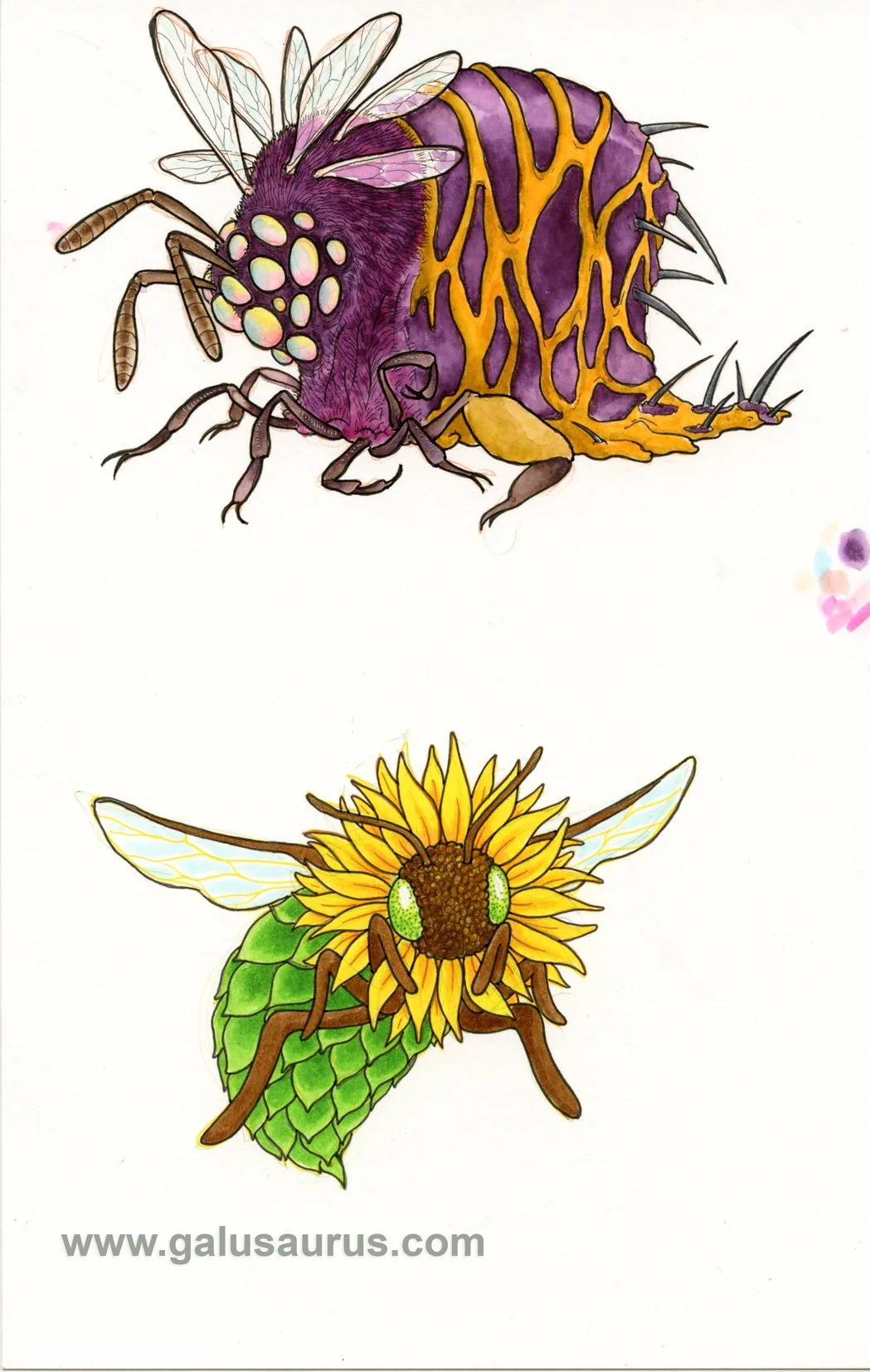 20227-bee-b-WM.jpg
