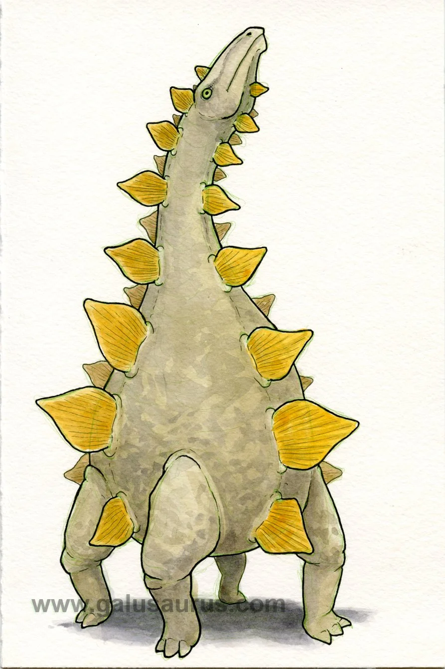2023-16-stegosaurus-c-WM-small.jpg