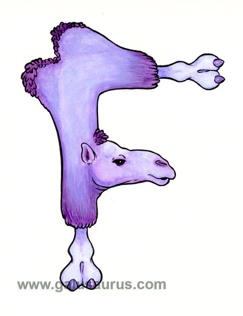 2024-06-camel-a-WM-small.jpg