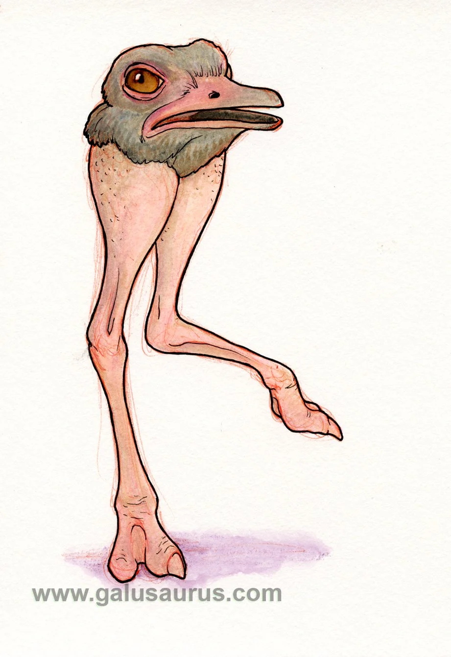 2023-02-flightlessbird-b-WM-small.jpg