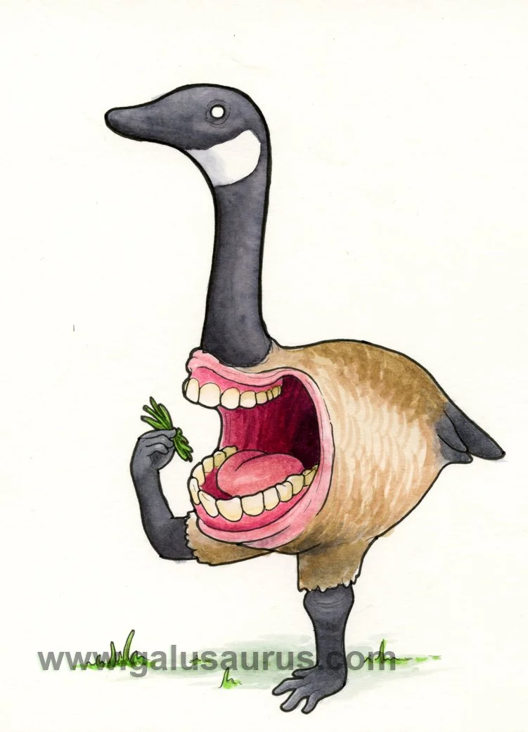 2024-29-goose-b-WM-small.jpg