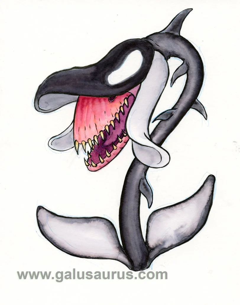 202211-cetacean-a-WM.jpg