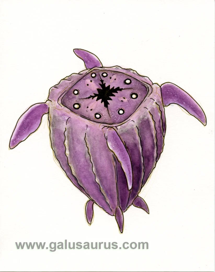 2023-04-seaturtle-b-WM-small.jpg