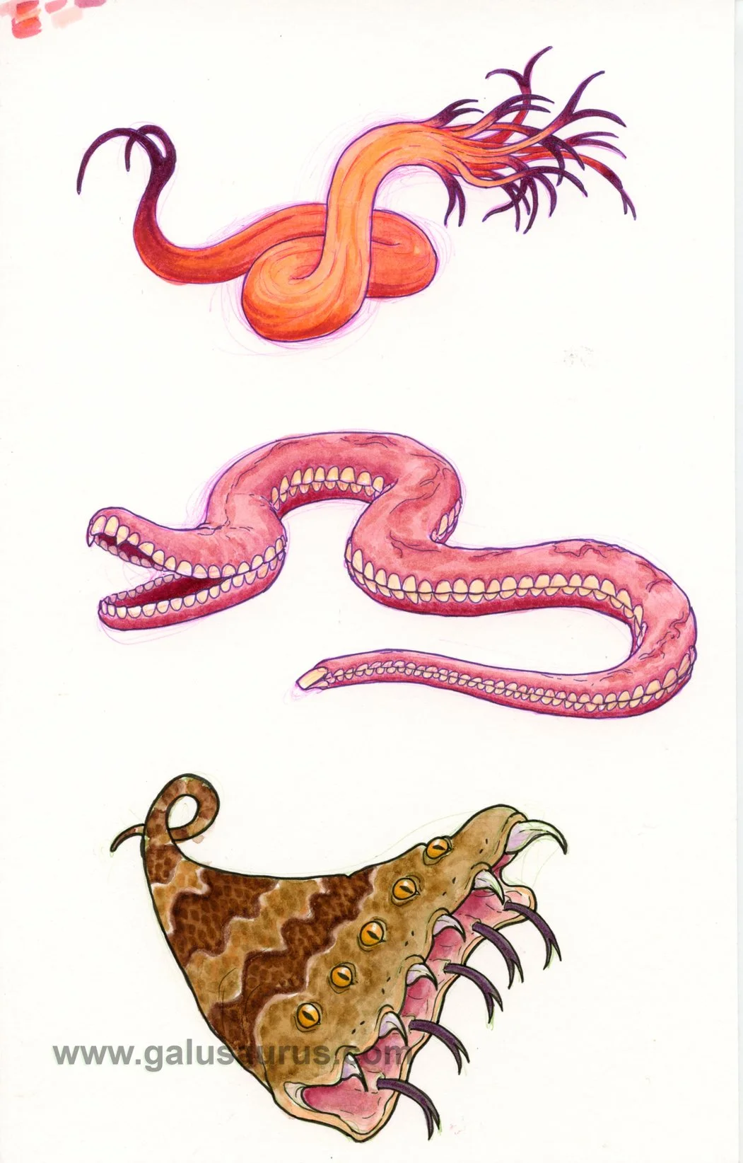 20226-snake-b-WM.jpg