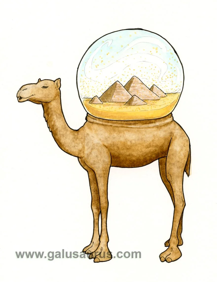 2024-06-camel-b-WM-small.jpg