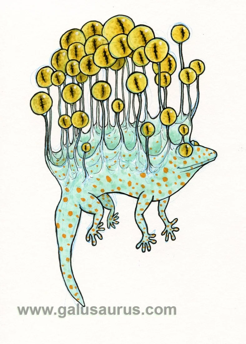2023-20-gecko-c-WM-small.jpg