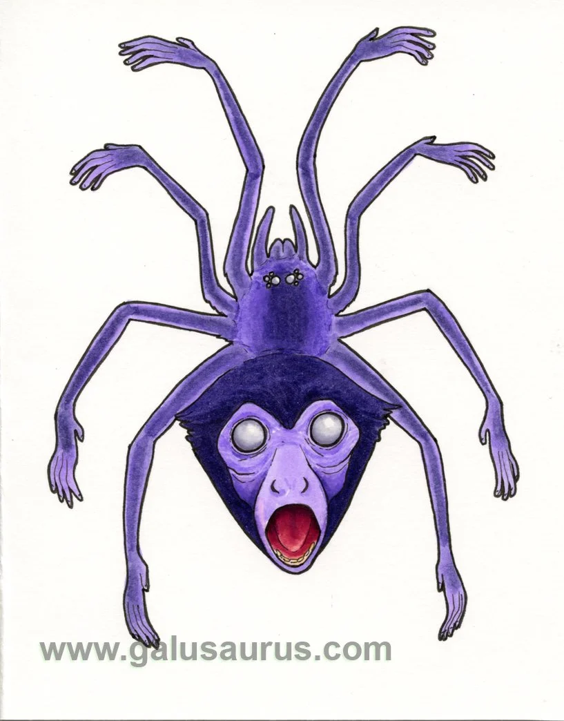 2023-27-spidermonkey-a-WM-small.jpg