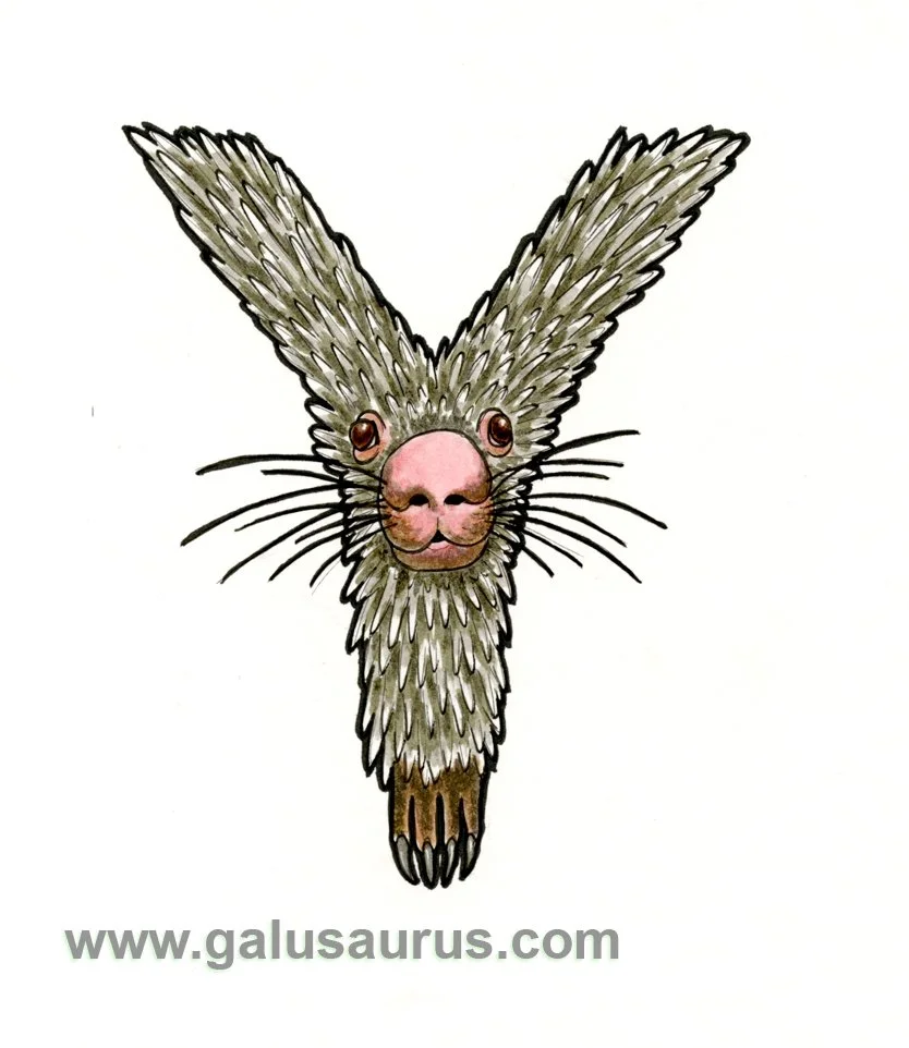 2024-25-spikyanimal-a-WM-small.jpg