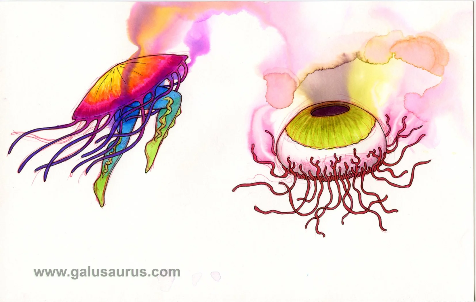 202230-jellyfish-b-WM.jpg