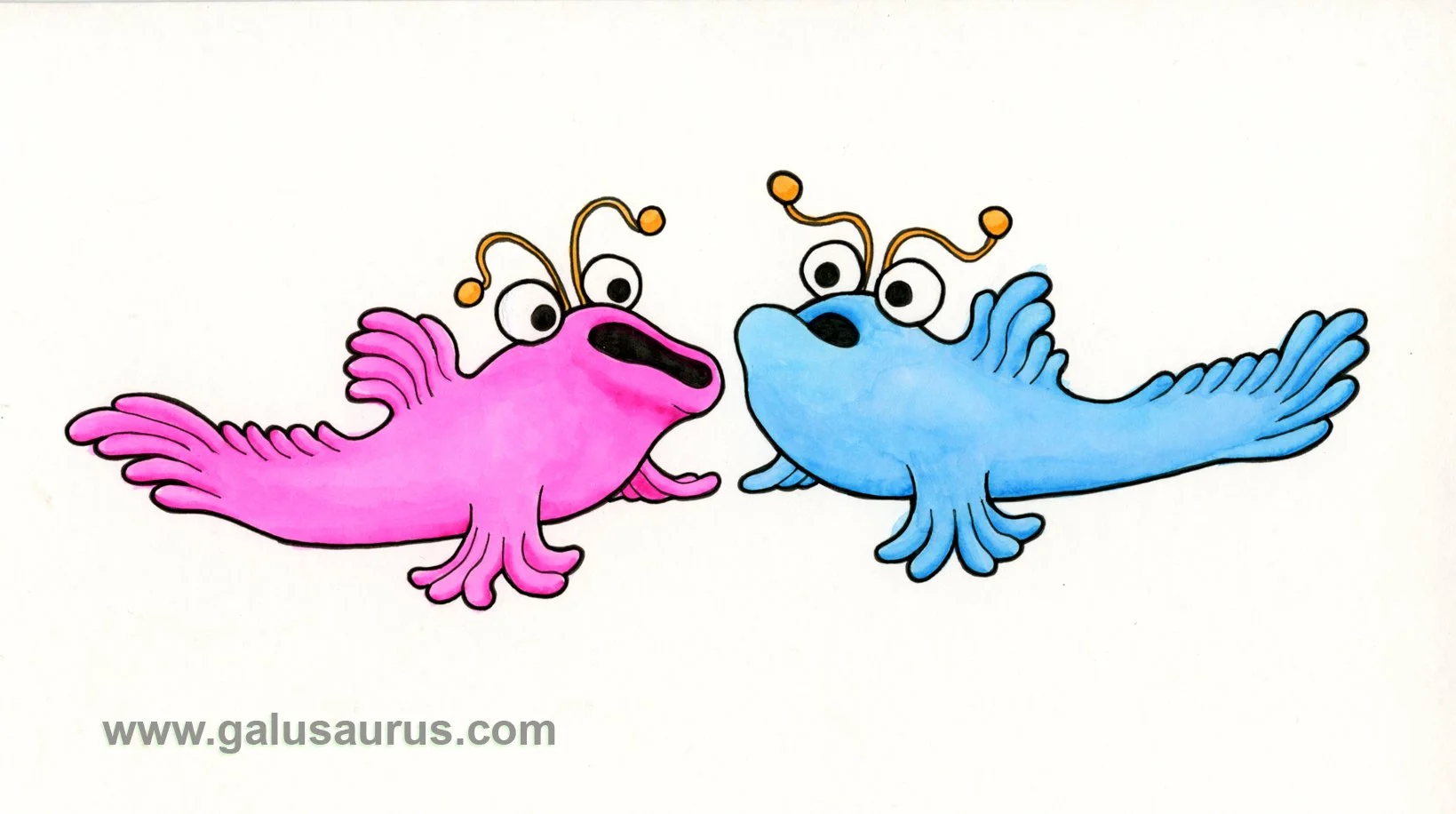 2024-17-mudskipper-b-WM-small.jpg
