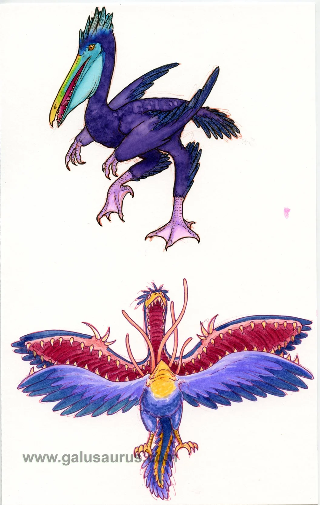 20228-archaeopteryx-a-WM.jpg