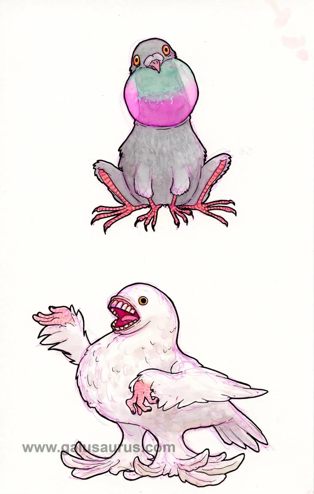 202226-pigeon-a-WM.jpg